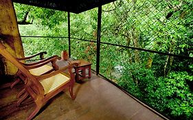 Vythiri Resort